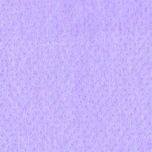 TNT Liso 40g - Lilás (1,40m x 1m)