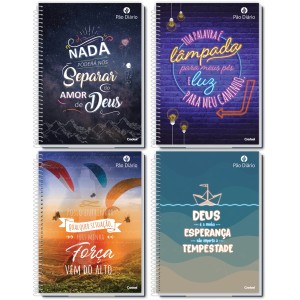 Caderno 16 Matérias Pão Diário 256fls Credeal