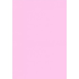 Papel Cartolina 150g 50x66cm - Rosa