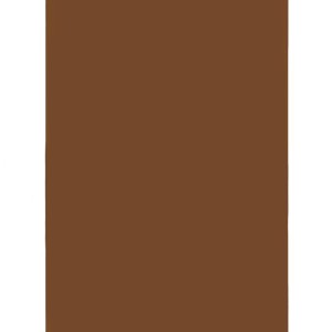 Papel Cartolina 180g 48x65cm - Marrom