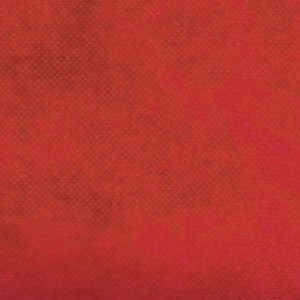 TNT Liso 40g - Vermelho (1,40m x 1m)