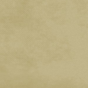 TNT Liso 40g - Bege (1,40m x 50m)
