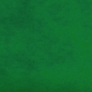 TNT Liso 40g - Verde Bandeira (1,40m x 50m)